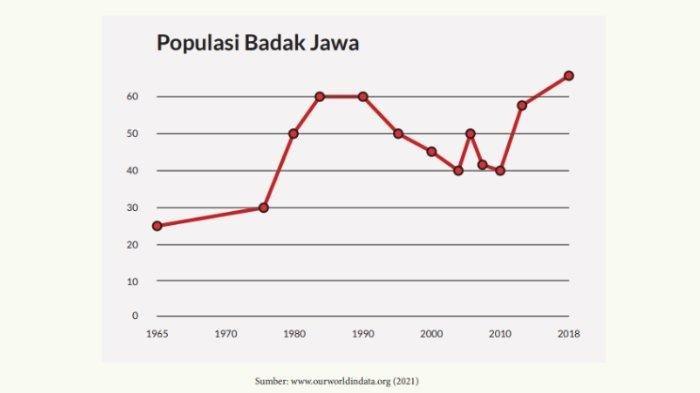 Kunci Jawaban Matematika Kelas 11 Halaman 39 Nomor 5
