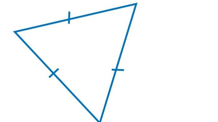 Kunci Jawaban Matematika Kelas 5 SD Kurikulum Merdeka Halaman 116 117 1