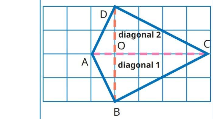 Kunci Jawaban Matematika Kelas 5 SD Kurikulum Merdeka Halaman 156 157 1