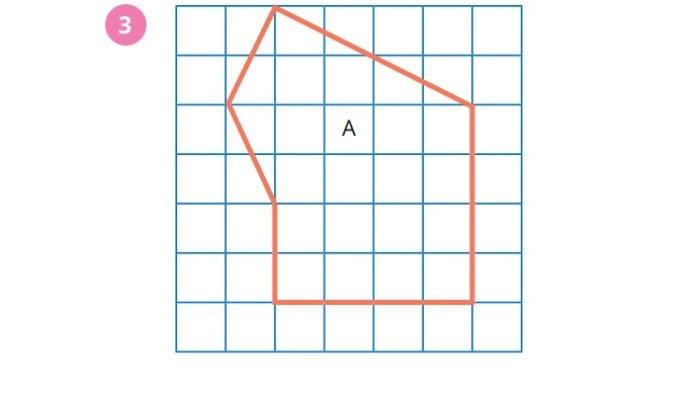 Kunci Jawaban Matematika Kelas 5 SD Kurikulum Merdeka Halaman 162 jawaban 3