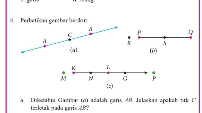 Kunci Jawaban Matematika Kelas 7 Semester 2 Halaman 117 118 119 120 2