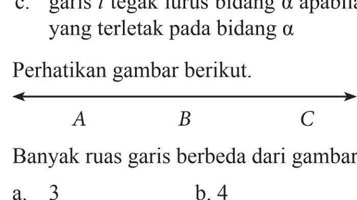 Kunci Jawaban Matematika Kelas 7 Semester 2 Halaman 117 118 119 120 3