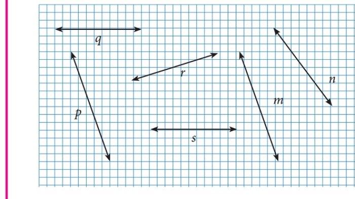 Kunci Jawaban Matematika Kelas 7 Semester 2 Halaman 117 118 119 120 5