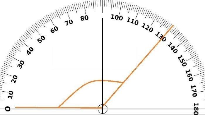 Kunci Jawaban Matematika Kelas 7 Semester 2 Halaman 169 5