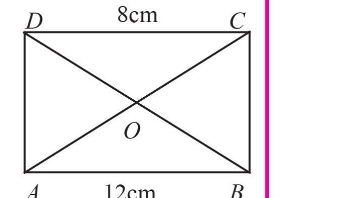 Kunci Jawaban Matematika Kelas 7 Semester 2 Halaman 204 205 1
