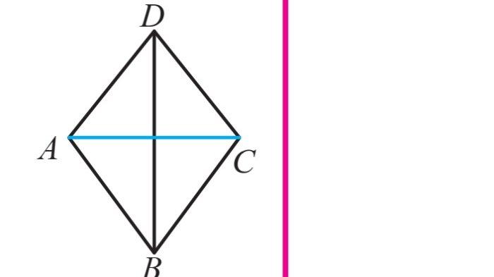 Kunci Jawaban Matematika Kelas 7 Semester 2 Halaman 204 205 3
