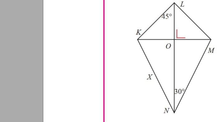 Kunci Jawaban Matematika Kelas 7 Semester 2 Halaman 204 205 4