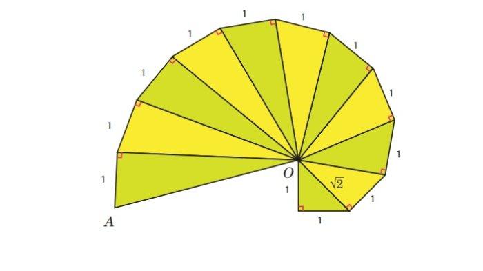 Kunci Jawaban Matematika Kelas 8 Kurikulum Merdeka Halaman 81 1