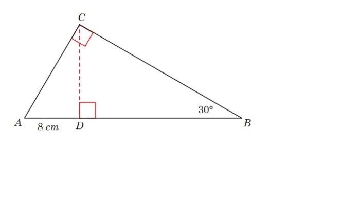 Kunci Jawaban Matematika Kelas 8 Kurikulum Merdeka Halaman 81 82 83 3