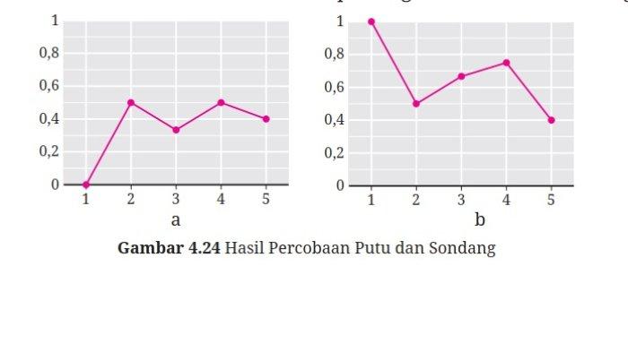 Kunci Jawaban Matematika Kelas 9 Kurikulum Merdeka Halaman 244 245 246 4