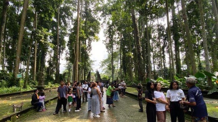 Kunjungan wisatawan ke Objek Wisata Alas Pala Sangeh beberapa hari lalu
