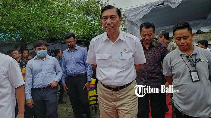 Menteri Koordinator Kemaritiman dan Investasi Luhut Binsar Panjaitan saat meninjau budidaya rumput laut di Desa Patas, Kecamatan Gerokgak, Buleleng, Jumat 28 April 2023.