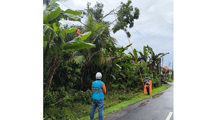 PLN menyiapkan langkah – langkah antisipatif guna mewaspadai adanya risiko yang dapat ditimbulkan dari cuaca ekstrem.