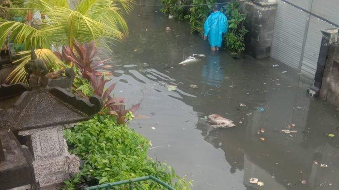 Dampak hujan deras di Kota Denpasar yang terjadi sepanjang dini hari hingga pagi tadi - Hujan Deras Landa Denpasar, Rumah di Padangsambian Terendam Banjir Setinggi Lutut