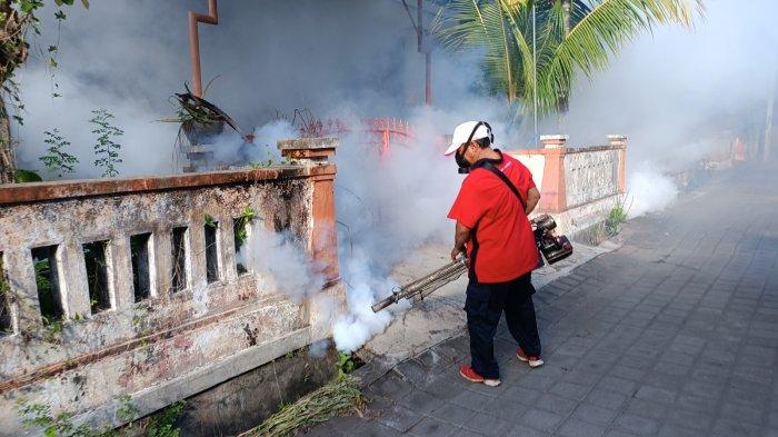 Pelaksanaan fogging di Kota Denpasar untuk mengatasi Demam Berdarah Dengue - Tangani Demam Berdarah, Denpasar Akan Segera Lakukan Sosialisasi Vaksin DBD