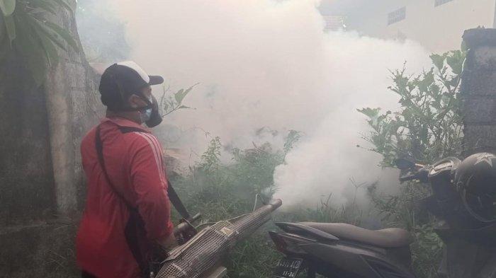 Pelaksanaan fogging di wilayah Kota Denpasar - Kasus DBD mulai awal tahun, kata Raka Susanti terus meningkat. Meski, angkanya diklaim menurun dibandingkan tahun lalu.