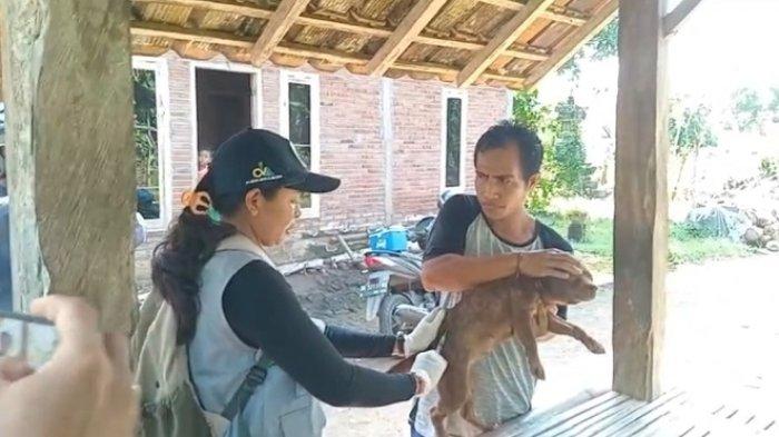 VAKSINASI RABIES - Suasana saat petugas melaksanakan vaksinasi rabies emergency sebagai tindaklanjut temuan kasus warga meninggal dunia diduga suspek rabies di Desa Tegal Badeng Barat, Kecamatan Negara, Jembrana, Jumat 16 Mei 2025 kemarin.