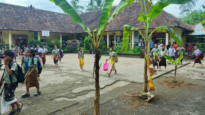 POHON PISANG - Pohon pisang yang ditanam di SD 2 Sambangan, Buleleng, Bali, Kamis (8/5/2025). Kasus sengketa lahan di wilayah tersebut kembali memanas.