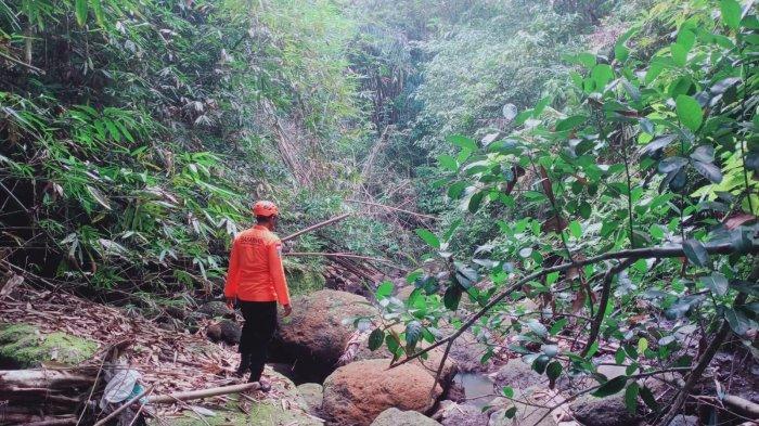 Tim SAR melakukan pencarian di Tabanan - Seorang kakek berusia 88 tahun dilaporkan hilang di Tabanan.