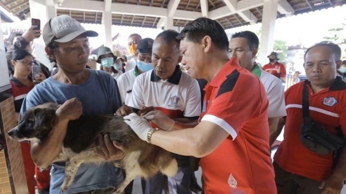Vaksinasi rabies di Klungkung pada anjing di Klungkung belum lama ini.