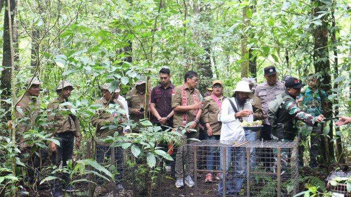 PELEPASLIARAN – BKSDA Bali bersama mitra konservasi melakukan pelepasliaran satwa dilindungi di di Kaki Gunung Batukaru, Desa Pujungan, Pupuan Kabupaten Tabanan dan Kawasan Hutan Konservasi Taman Wisata Alam Danau Buyan-Danau Tamblingan, Desa Pancasari, Kabupaten Buleleng, Sabtu (7/12).