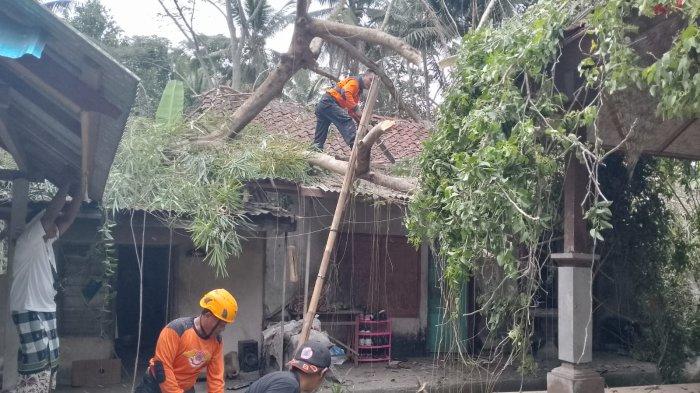 Rumah dan dapur milik I Wayan Darti di Br. Belong, Manggis, Kecamatan Manggis, Karangasem rusak tertimpa pohon tumbang, Selasa (19/9) siang.