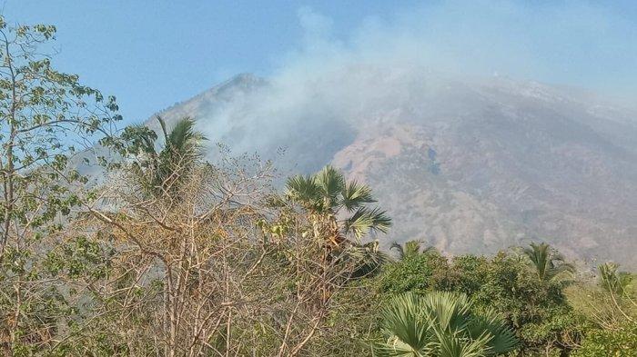 Area hutan lereng Gunung Agung kembali terbakar, Kamis (19/10/2023).
Api berada di beberapa titik di bagian timur, tepatnya diatas Br. Buana Kusuma, Dukuh, Kecamatan Kubu.
Kobaran api cukup jauh dari pemukiman penduduk. Api diperkirakan naik ke puncak Gunung Agung.