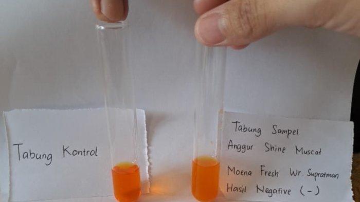 UJI LAB - Dinas Pertanian dan Pangan melalui Otoritas Kompeten Keamanan Pangan (OKKPD) Provinsi Bali uji sampel anggur Muscat yang diambil dari beberapa supermarket di Kota Denpasar, Rabu (30/10).