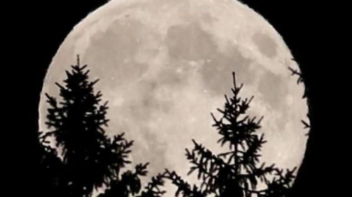 Supermoon terlihat di Austria, 10 Agustus 2014.