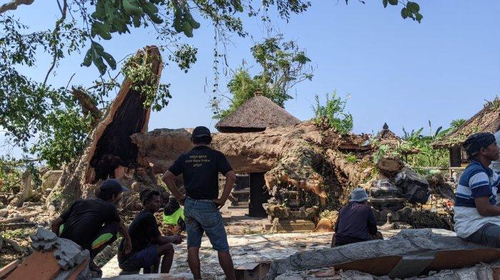 Warga pangempon Pura Dalem Seluwang, Kamis (19/10/2023) hadir untuk bergotong-royong membersihkan puing bangunan palinggih mereka yang hancur akibat tertimpa pohon tumbang.