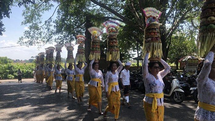 Puncak pujawali di pura yang berada di DTW Alas Kedaton ini diiringi parade gebogan, yang dibawa para pamedek istri dari 12 banjar yang menjadi pangempon.