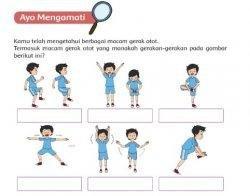 Gambar Tema 1 Kelas 5 Halaman 114