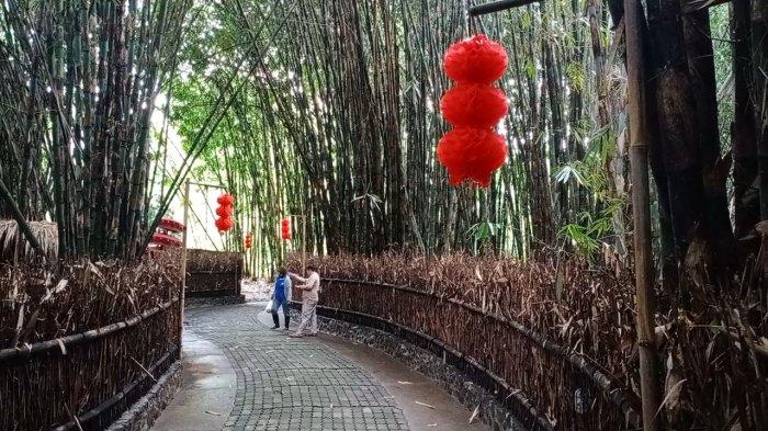 Ilustrasi pohon bambu - 12 Arti Mimpi Pohon Bambu, Pertanda Dapat Rezeki yang Tak Terduga