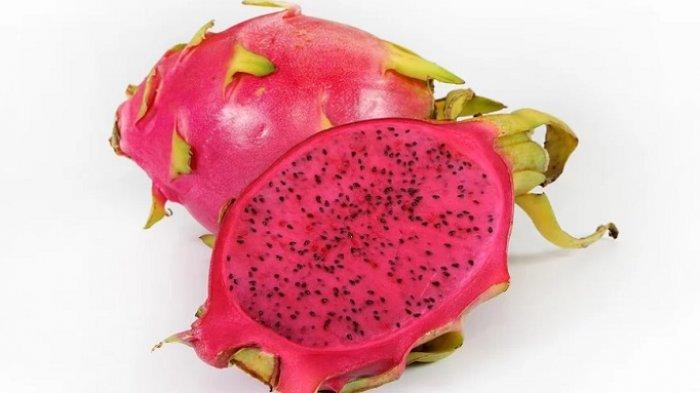 Ilustrasi buah naga merah -