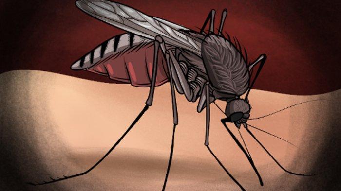 ILUSTRASI - Dinas Kesehatan (Dinkes) Provinsi Bali, membeberkan data kasus demam berdarah dengue (DBD) di Bali sejak Januari sampai per 30 November 2024. Tercatat sebanyak 14.881 kasus dengan 16 kematian.