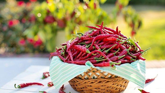 Harga bumbu dapur di beberapa pasar di Karangasem, mengalami peningkatan jelang Galungan dan Kuningan. Satu diantaranya cabe rawit yang sudah tembus 40 ribu per kilogram.
Sedangkan bawang putih harga perkilo sudah capai 45 ribu. Telur mengalami kenaikan, per trai tembus 60 ribu.