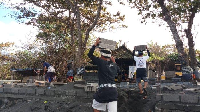 Warga sangat bersemangat bergotong-royong untuk kembali memperbaiki Pura Ketapang Kembar, Minggu (16/7/2023).