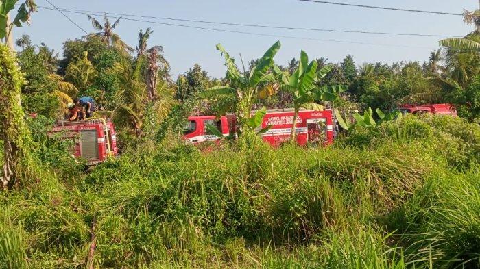 PEMADAMAN - Petugas Damkar Jembrana melakukan pemadaman kebakaran yang terjadi di lahan milik Perumda Provinsi Bali di Desa/Kecamatan Pekutatan, Kabupaten Jembrana, Jumat (26/7) sore. Total luas kebakaran disebutkan mencapai dua hektare. Tidak ada korban jiwa maupun kerugian material.