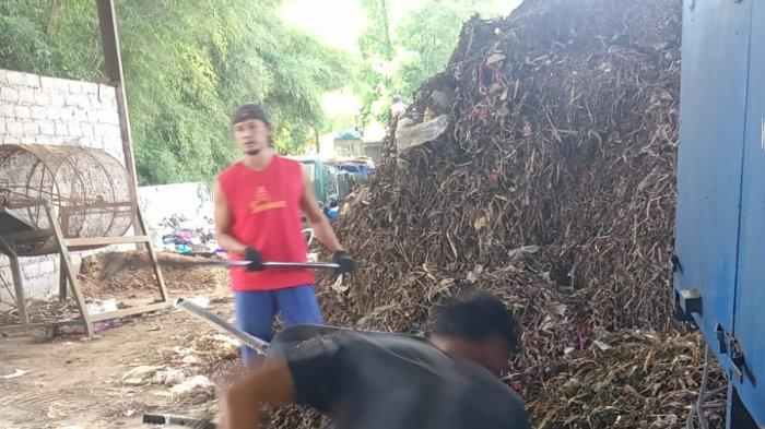 Pengolahan sampah organik menjadi media tanam di Desa Kesiman Kertalangu.