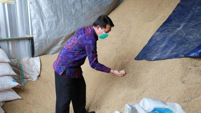 Bupati Klungkung, I Nyoman Suwirta saat mengecek harga gabah petani lokal di KUD belum lama ini.
