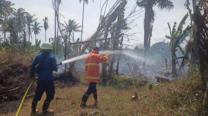 Petugas saat menangani kebakaran lahan perkebunan milik warga di Banjar Anyar Kelod, Desa Penyaringan, Kecamatan Mendoyo, Jembrana, Selada 19 September 2023