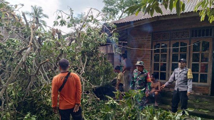 Petugas BPBD Buleleng saat membersihkan batang pohon wani yang tumbang dan menimpa rumah serta garasi mobil milik warga di Desa Silangjana, Minggu (21/4)