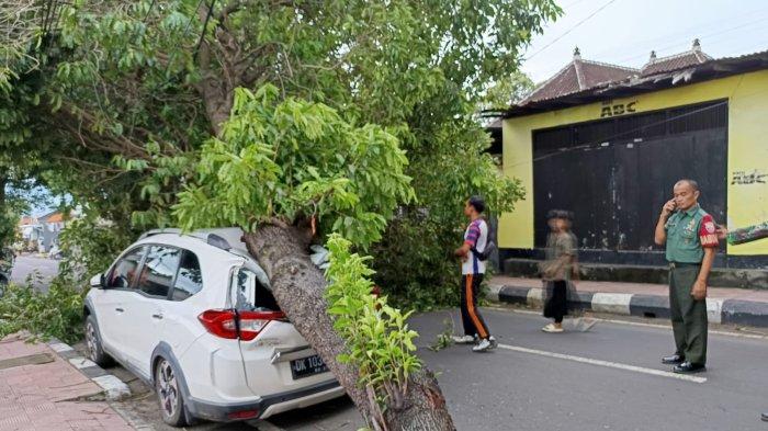 Pohon tumbang - Peristiwa pohon tumbang di Buleleng, yang menimpa warung hingga kendaraan warga, Rabu (19/3/2025). BPBD mencatat ada 21 kejadian pohon tumbang akibat angin kencang.