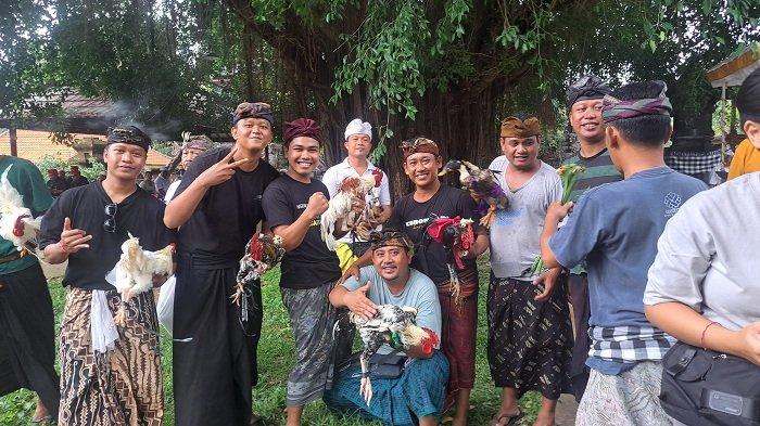 Mapepada - Suasana prosesi Mapepada di Pura Desa Adat Buleleng, Kamis (27/3). Upacara ini digelar untuk menyucikan hewan-hewan yang akan digunakan untuk upacara Tawur Kesanga pada Jumat (28/3).