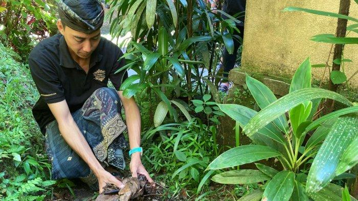 Teba Modern di The Lokha Ubud Bali