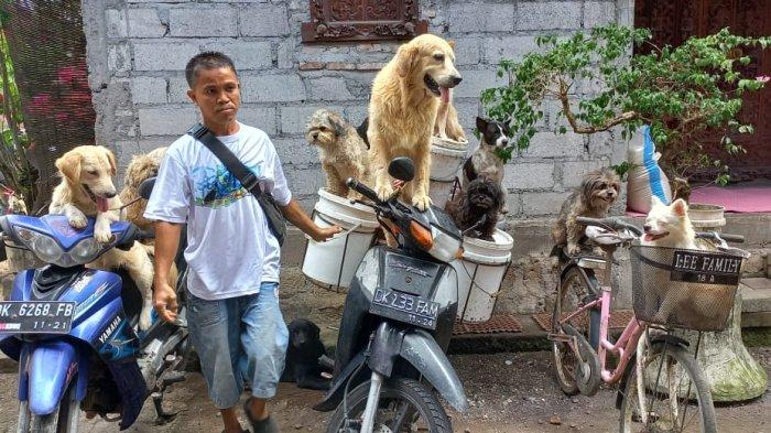BERSAMA ANJING - Ketut Widanta atau yang sering disapa Ketut Lelut Cellelut saat memperlihatkan anjing-anjing peliharaannya duduk di atas motornya, baru-baru ini.