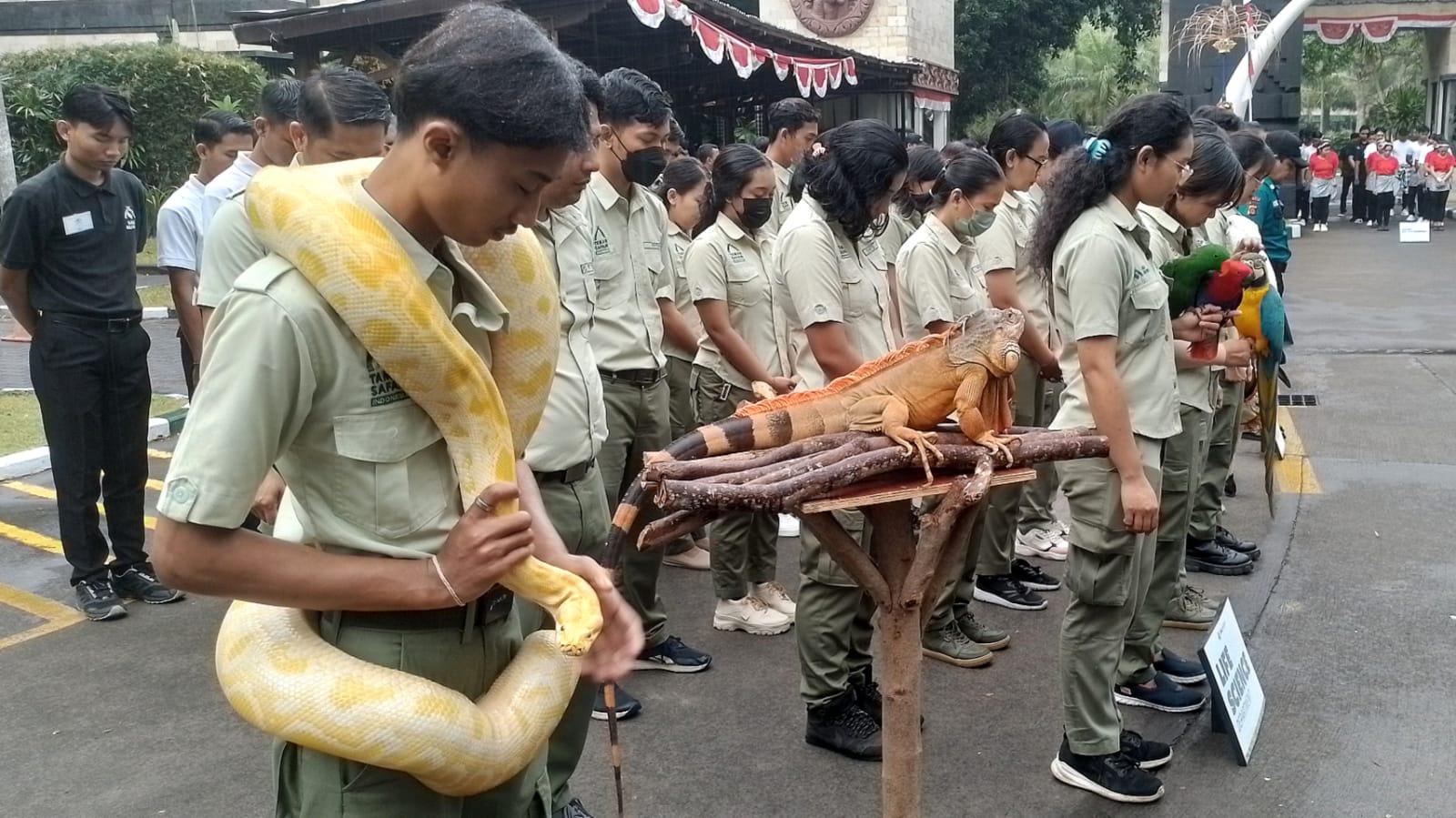 Satwa Ikut Upacara 17 Agustusan di Bali Safari Gianyar