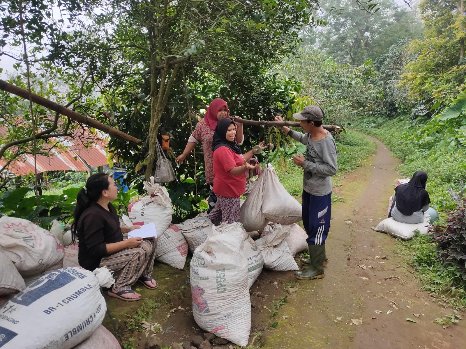 Inwan saat memantau kebun kopi miliknya - Kisah Petani Kopi Buleleng Inwan, Tembus Hingga Pasar Internasional, Teruskan Semangat Nenek Moyang