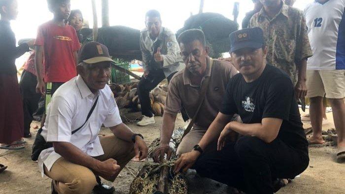Seekor buaya berhasil ditangkap warga di perairan laut Mempunai, Desa Serdang, Rabu (7/2/2024). Buaya tersebut ditangkap usai masuk dalam perangkap warga.