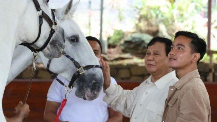 Ketua Umum Partai Gerindra Prabowo Subianto mengajari Wali Kota Solo Gibran Rakabuming Raka berkuda di arena kuda Padepokan Garuda Yaksa, Hambalang, Jawa Barat, Sabtu (18/6/2022). Gibran digadang-gadang menjadi cawapres pendamping Prabowo di Pilpres 2024.